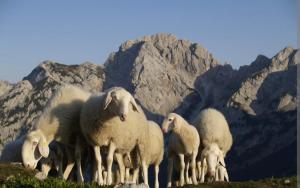 Lunas Mountain House - Jezersko