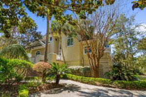 271 Tallow Tree