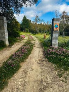 Il Mondo di Paola img1