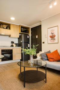 Modern and comfortable 1BR 1BA in Santiago