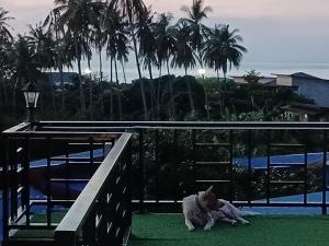 1 bedroom bungalow located in the heart of Koh Tao