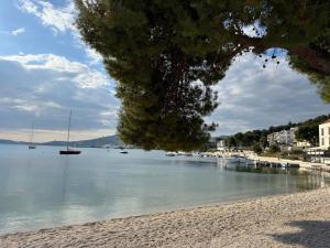 Apartments Villa Mirella 20 m from the sea - free parking