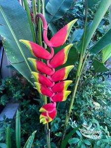 Casa Glo short walk to the Beach