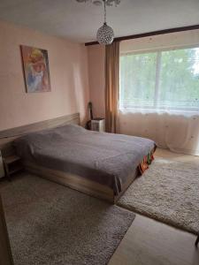 Novi Iskar - Bungale