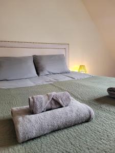 Słoneczne Poddasze z Balkonem