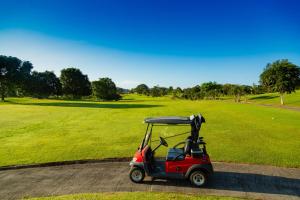 The Tucan Golf by AcoModo Cocolí