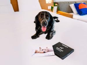 Novotel Venezia Mestre Castellana