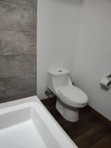 Apartment in Vidalta, Zone 11