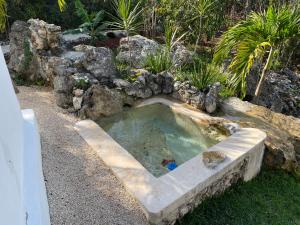 Cenote Escondido Cabañas y Camping