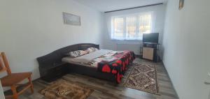 Apartament City Center Dorna