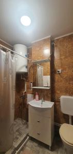 Apartament City Center Dorna
