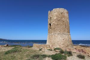 La Playa apartment- Fronte Spiaggia img17