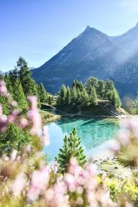 Le Raccard de Louise - Val dHérens, Valais