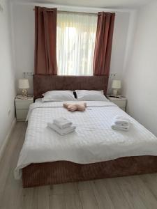 Lad Petite Maison
