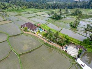 Suasana Harmonis Home