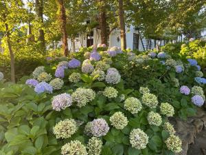 Naby Farm Country Haven