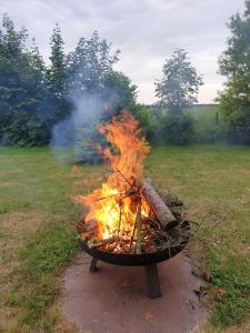 Ferienwohnungen Hohen Niendorf bei Kühlungsborn