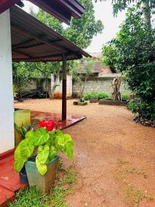 Mahagedara Holiday Home