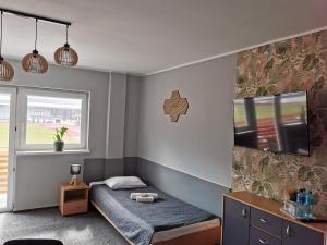 Gościniec nad Olzą