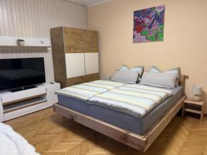 EDI APP Bovec Center-Free Parking & Mountain View