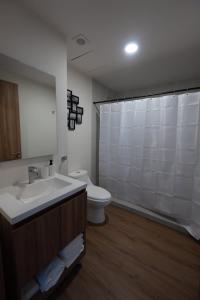 Furnished Studio in Mexico City
