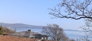 ВЕСЕЛА ВАКАНЦИЯ Китен