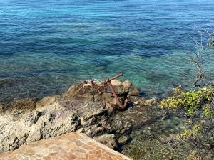 Apartamento Con Magníficas Vistas Al Mar - Wifi Gratis