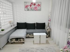 Modern Studio near Coresi Mall w. parking