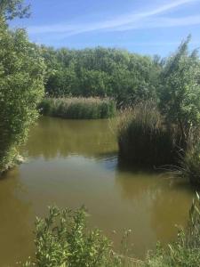Unique sea views - Peace & Nature - near tram stop