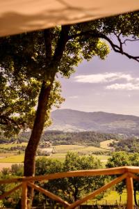Tenuta Seriole