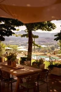 Tenuta Seriole