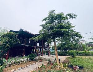 Pák Pe Homestay