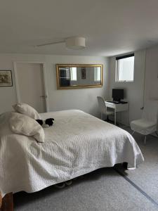 Spacious basement apartment in Hellerup, sleeps 4