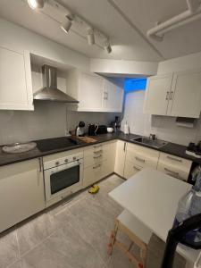 Spacious basement apartment in Hellerup, sleeps 4