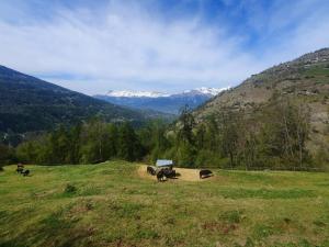 Magnifique grange rénovée cosy Le Muzet, Val dHérens