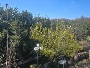 Ancient Norbas House - Casa dell Antica Norba