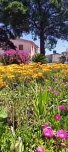 B&B Al piano di sopra img8