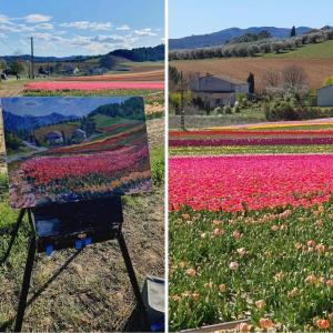 Sous les étoiles en Provence, gîte les Bambous