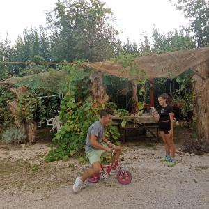ANCENT NORBA S HOUSE casa dell Antica Norba big hause
