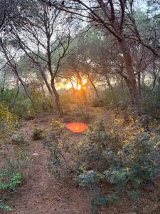 La Pigna A private oasis in the heart of nature