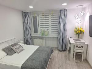 Apartament Premium Tarnów 2