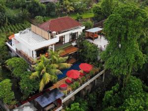 The Magic Villa