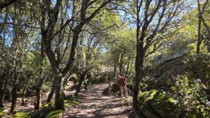 Rifugio Ortobene img1