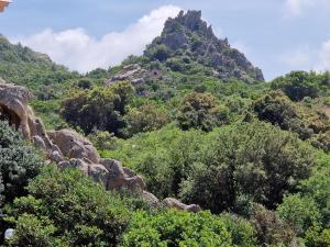 Appartamento Irìa img16