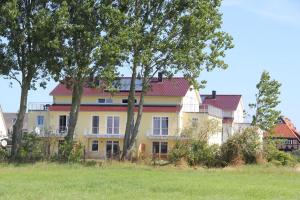 Hollerbusch