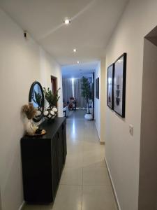 Luxury 3 Bedroom Apartment