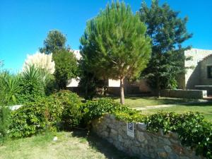 Ktima Petalea Lakonia Greece
