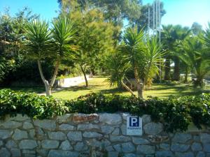 Ktima Petalea Lakonia Greece