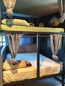 SEAPINE Hostel
