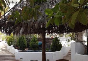 Las Americas Apartment with pool direct access